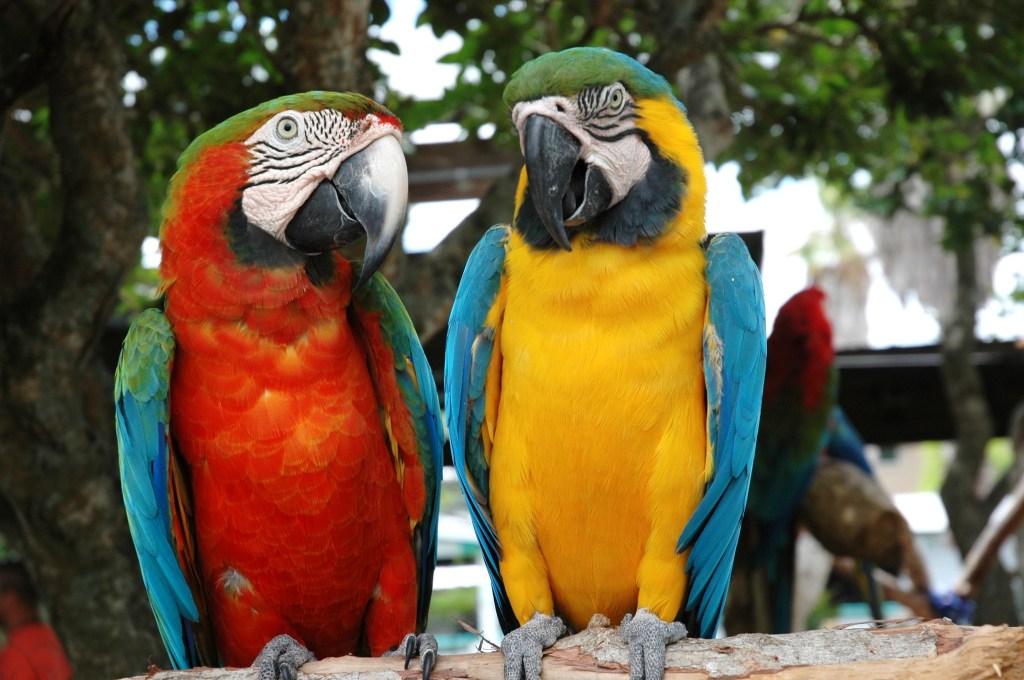 Beyond Disney: Family Fun Options Worth Exploring In&nbsp;Orlando