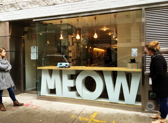Cat Cafe One
