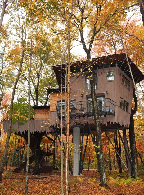 Treehouse