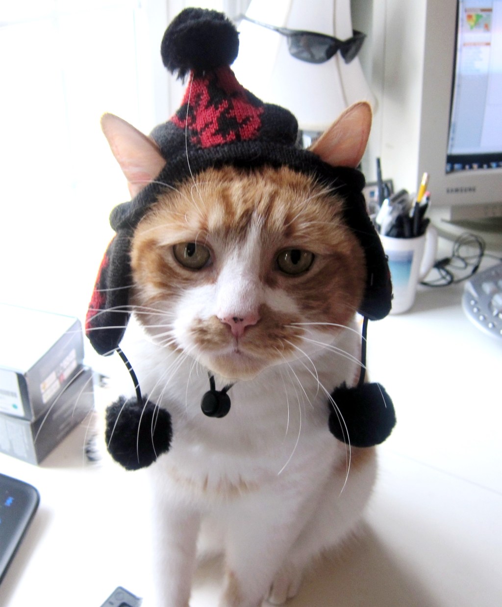 Last Word: Good&nbsp;Boy