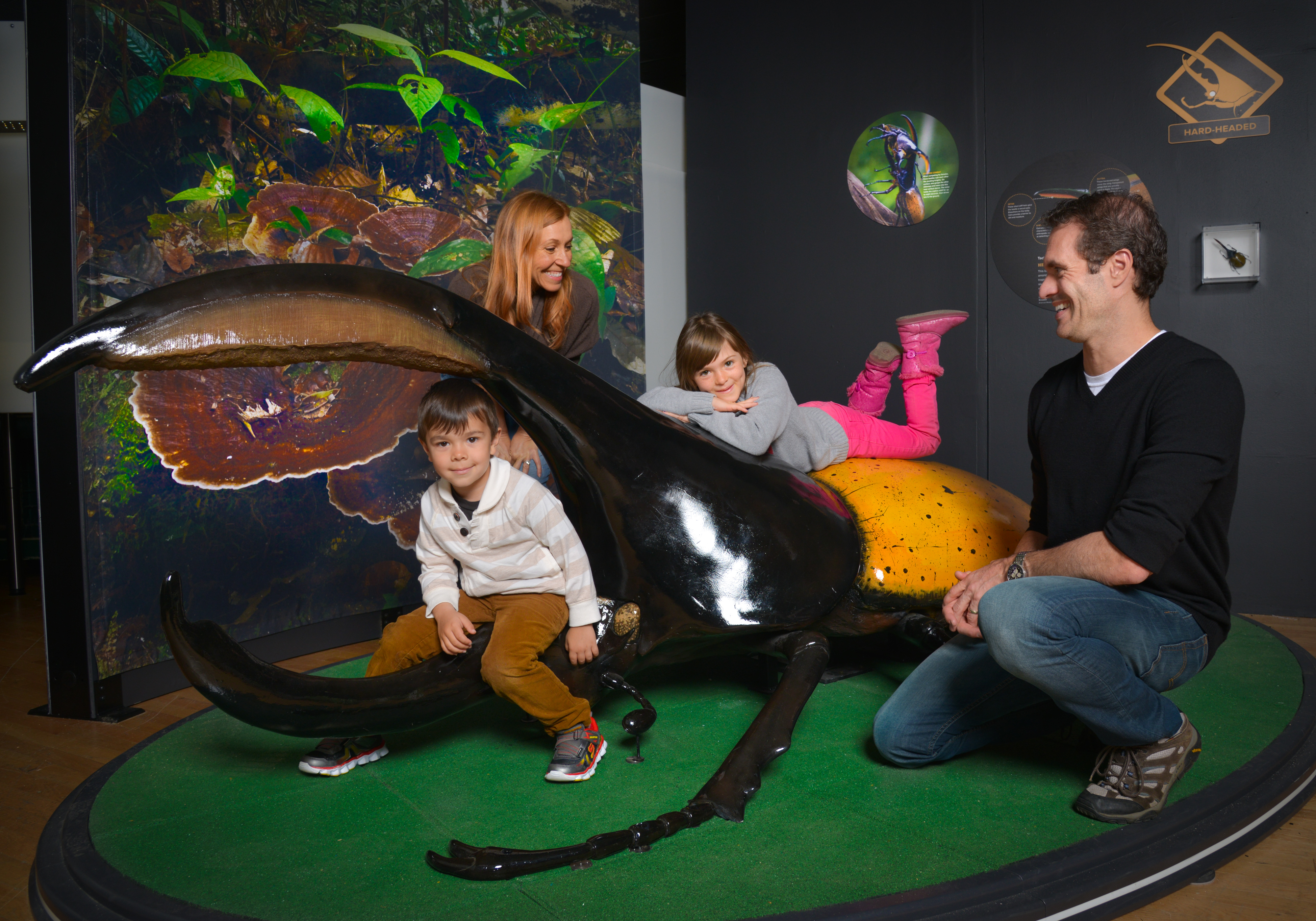 MOS Superheroes Exhibit